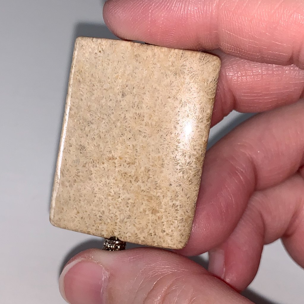 Fossilized Coral Rectangular Pendant 45$